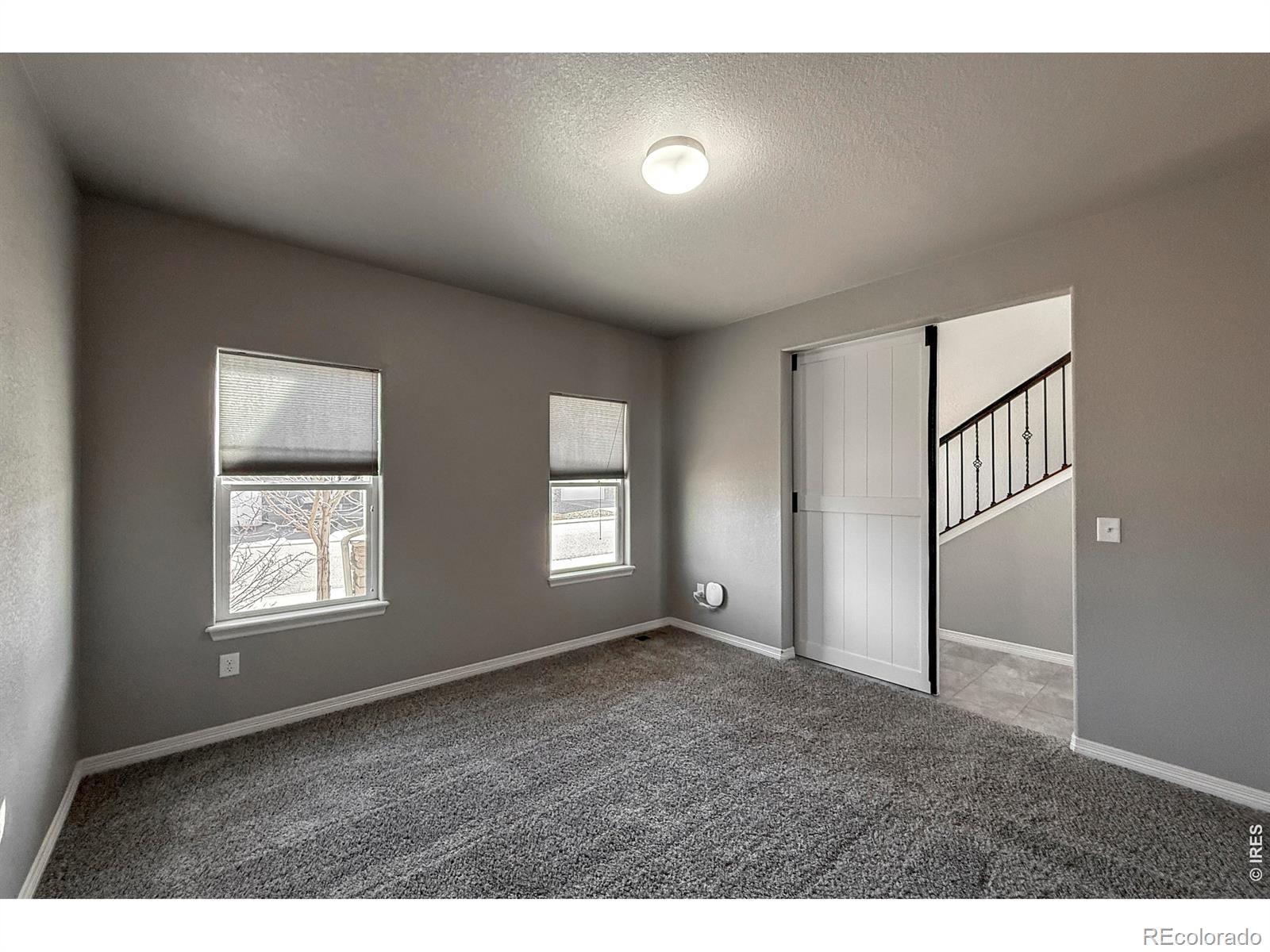MLS Image #4 for 6082  carmon drive,windsor, Colorado