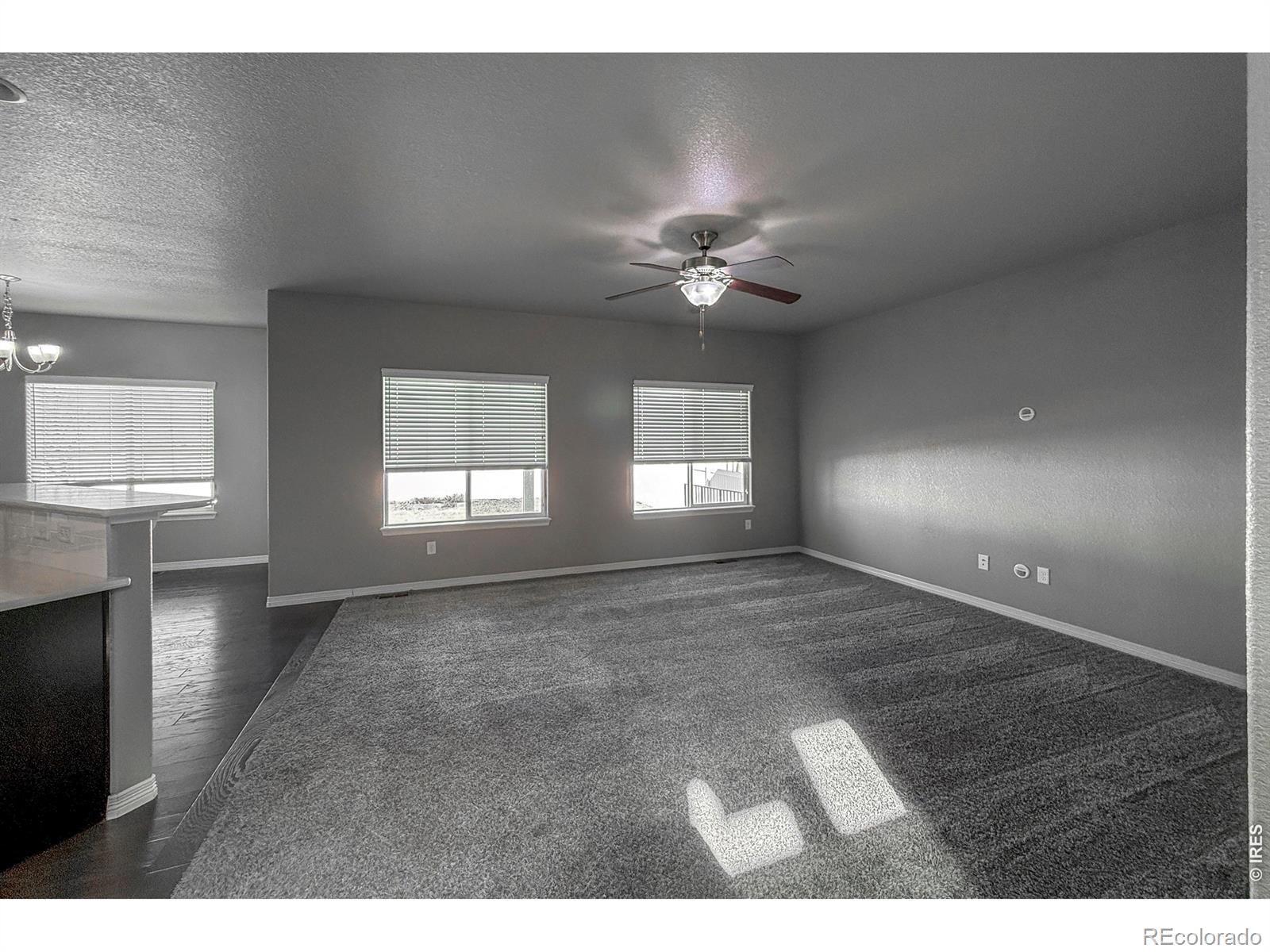 MLS Image #6 for 6082  carmon drive,windsor, Colorado