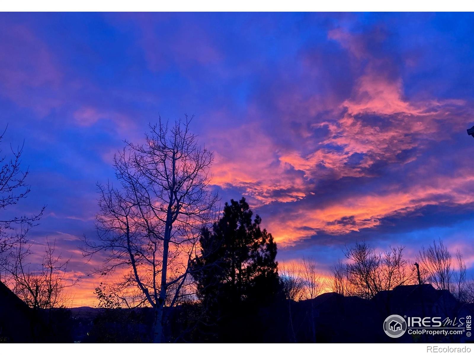 MLS Image #30 for 771  owl court,louisville, Colorado