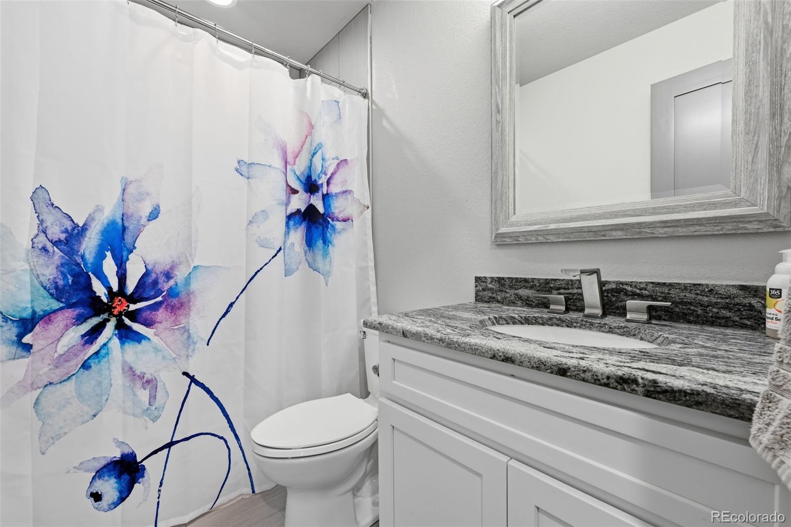MLS Image #11 for 122 n gilbert street,castle rock, Colorado