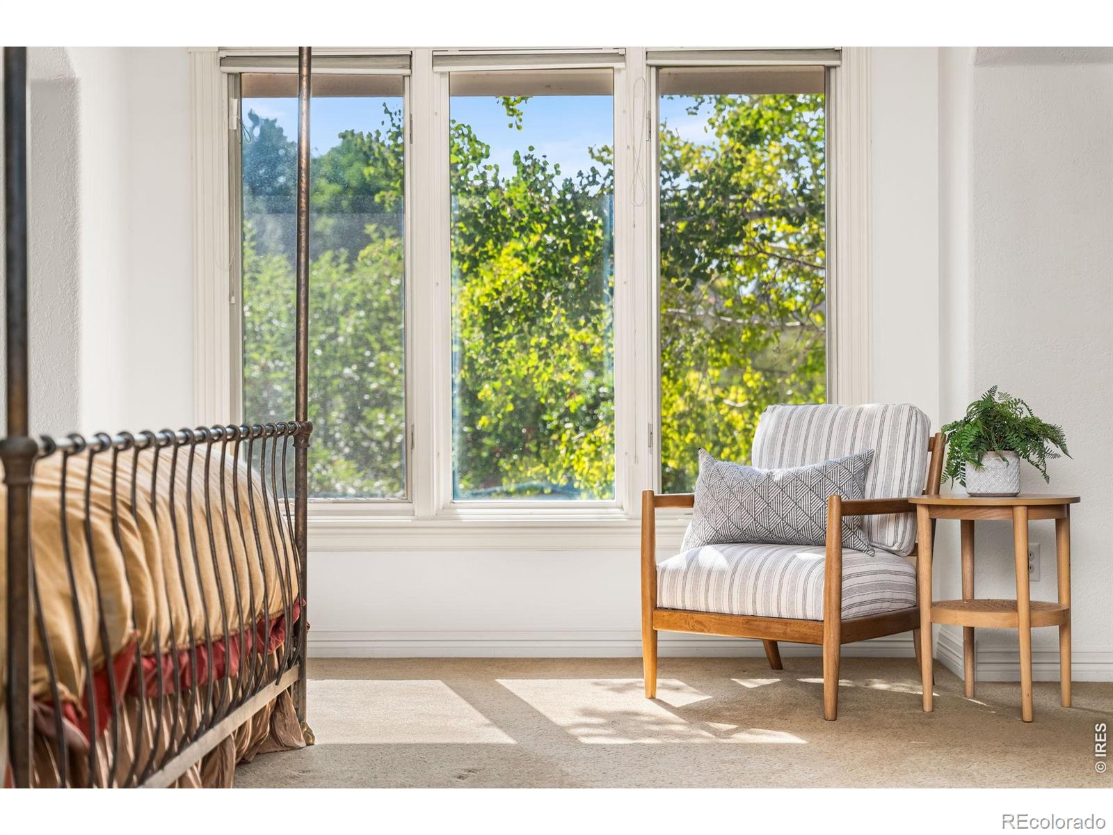 MLS Image #24 for 5100  abbey road,fort collins, Colorado