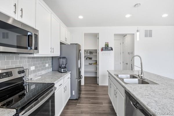MLS Image #8 for 5366  coltin trail,castle rock, Colorado