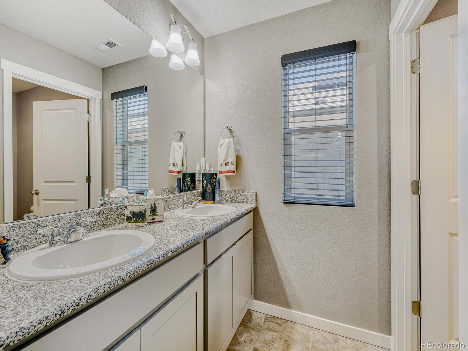 MLS Image #12 for 616  sawyers pond drive,windsor, Colorado