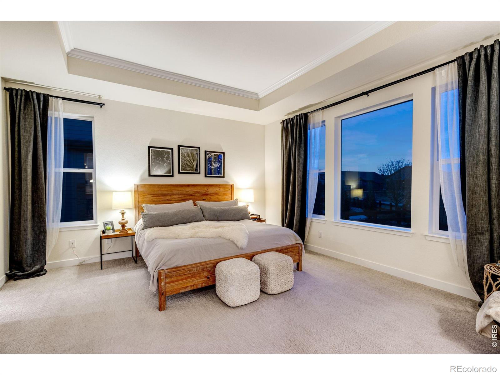 MLS Image #19 for 6988  thunderview drive,timnath, Colorado