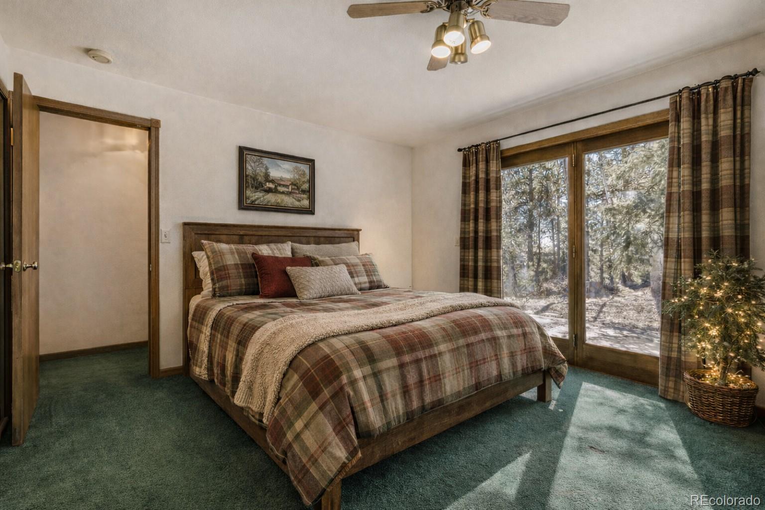 MLS Image #13 for 140  wrangler creek circle,florissant, Colorado