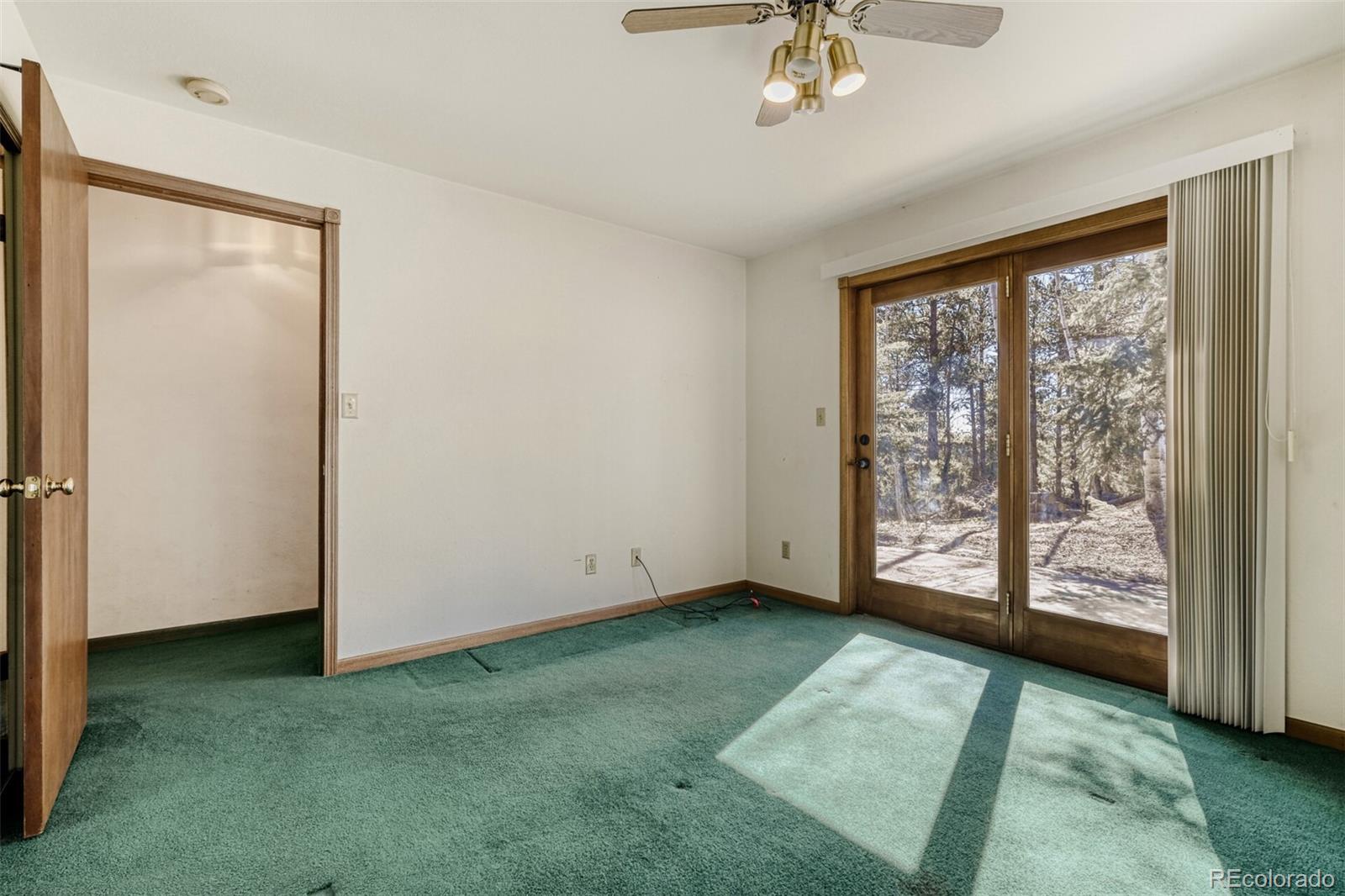 MLS Image #14 for 140  wrangler creek circle,florissant, Colorado