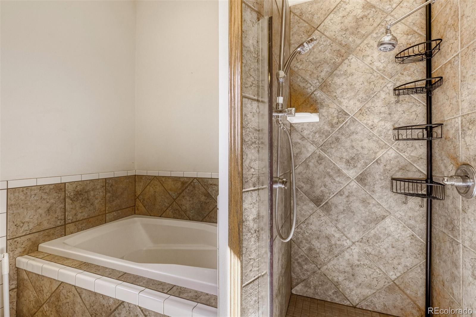 MLS Image #18 for 140  wrangler creek circle,florissant, Colorado