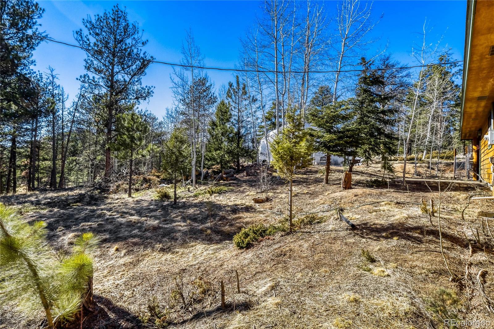 MLS Image #27 for 140  wrangler creek circle,florissant, Colorado