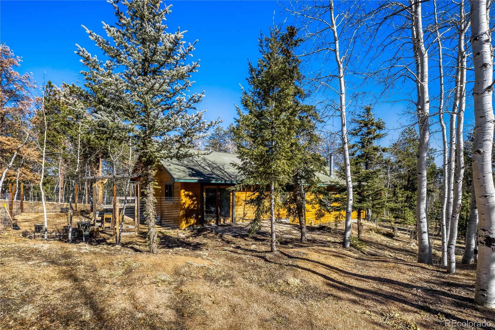 MLS Image #28 for 140  wrangler creek circle,florissant, Colorado
