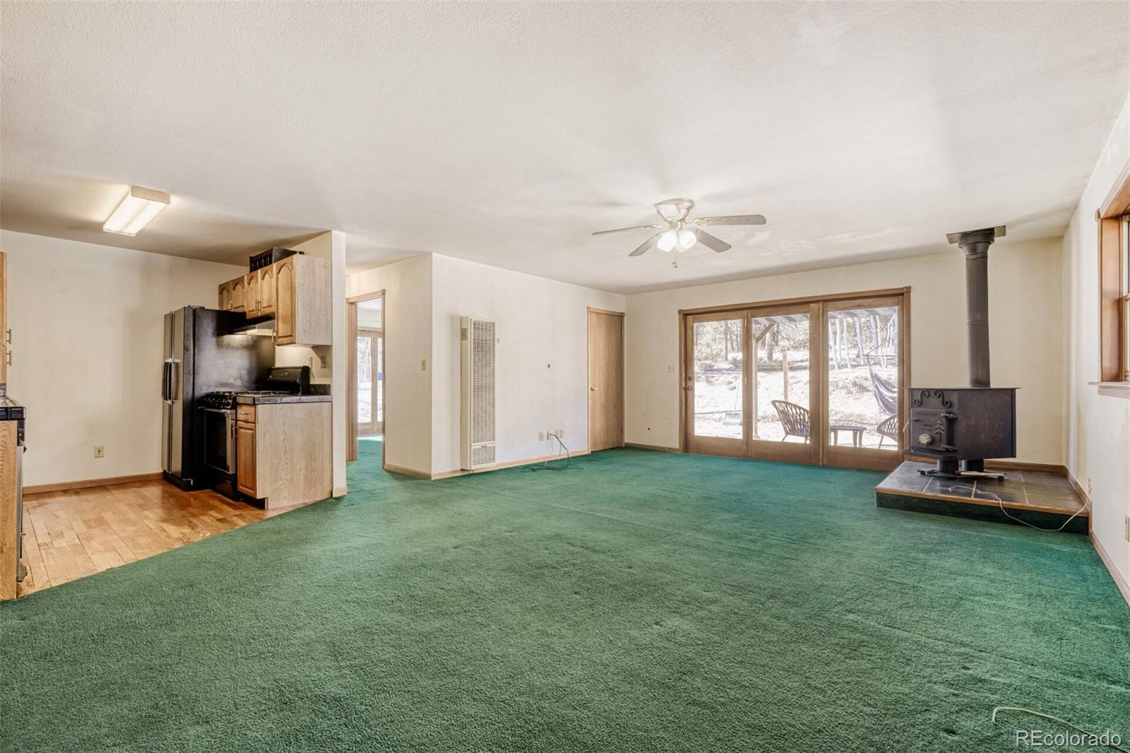 MLS Image #3 for 140  wrangler creek circle,florissant, Colorado