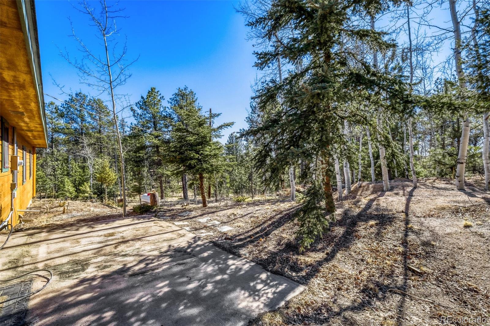 MLS Image #33 for 140  wrangler creek circle,florissant, Colorado