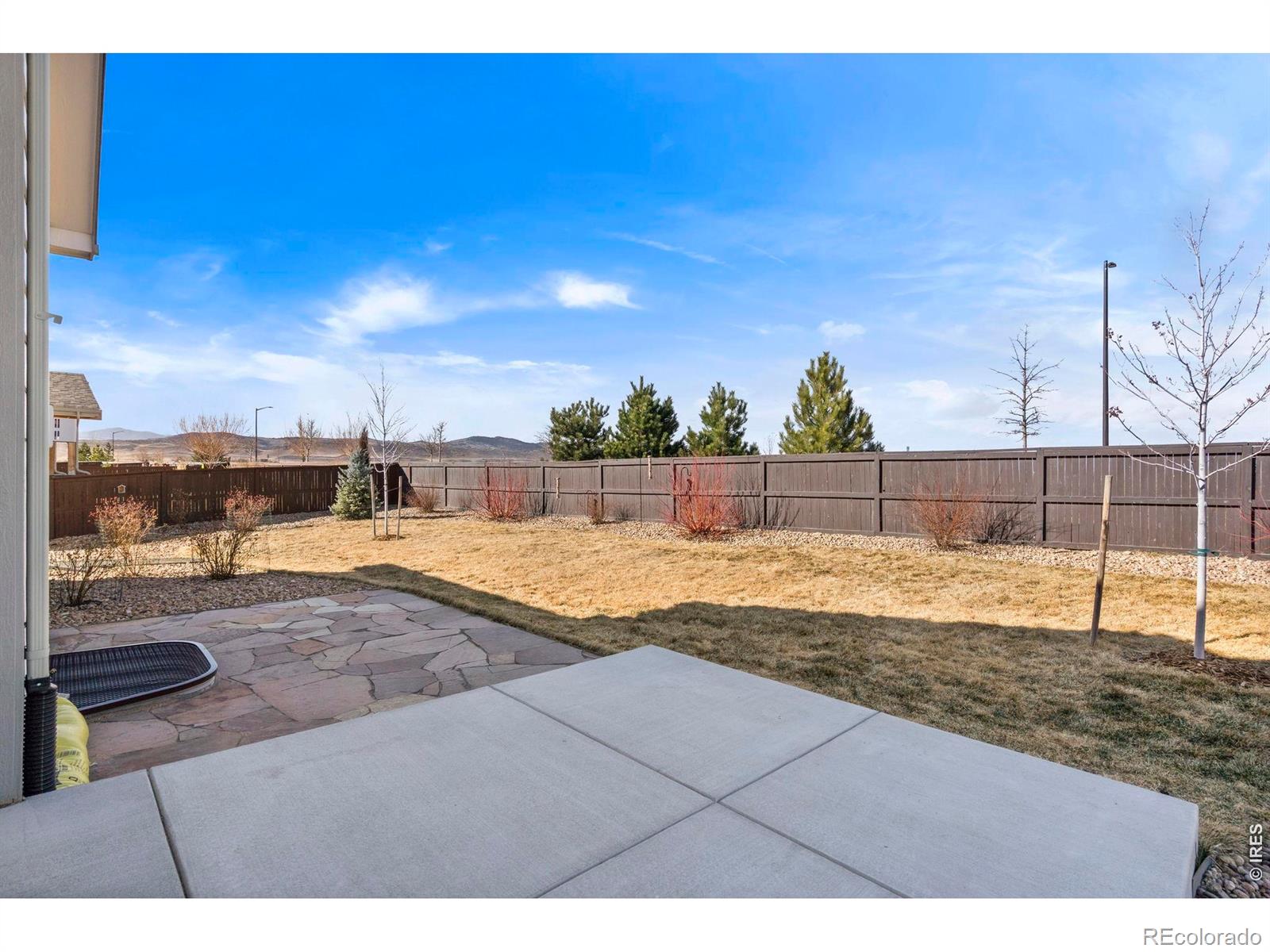 MLS Image #37 for 1733  lazear street,loveland, Colorado