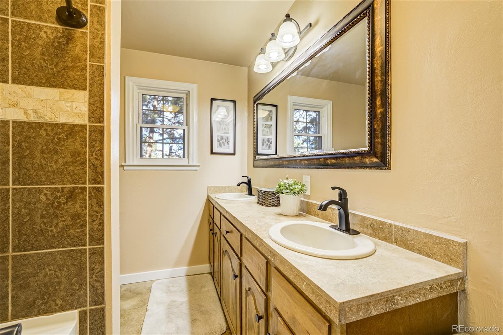 MLS Image #18 for 1260  timber valley road,colorado springs, Colorado