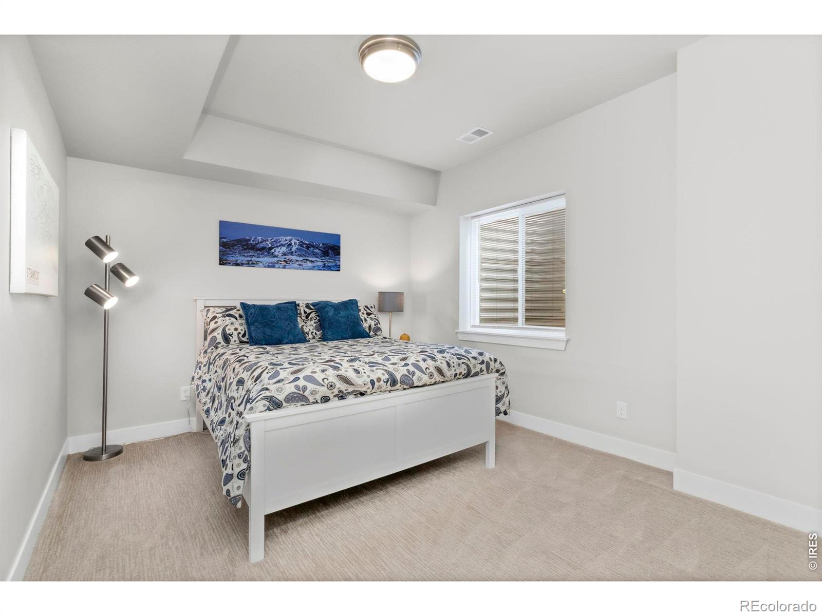 MLS Image #23 for 6972  foxton court,timnath, Colorado