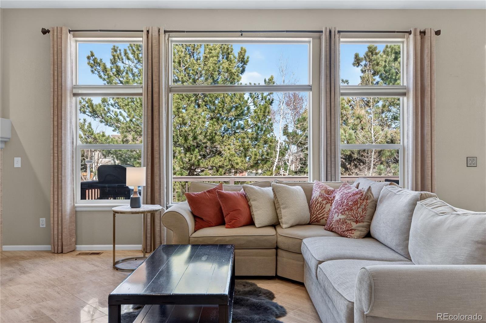 MLS Image #16 for 10155  joseph drive,highlands ranch, Colorado