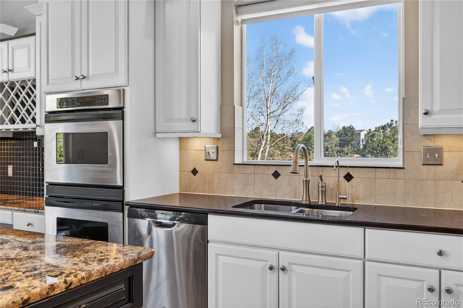 MLS Image #22 for 10155  joseph drive,highlands ranch, Colorado