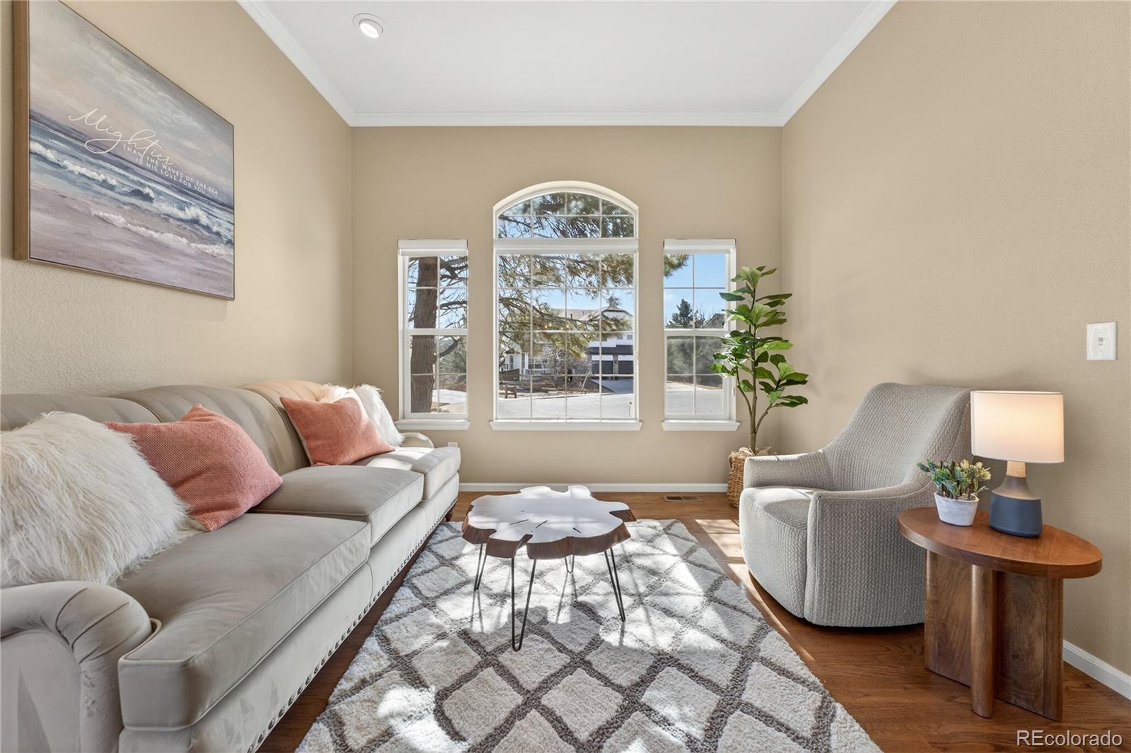 MLS Image #5 for 10155  joseph drive,highlands ranch, Colorado