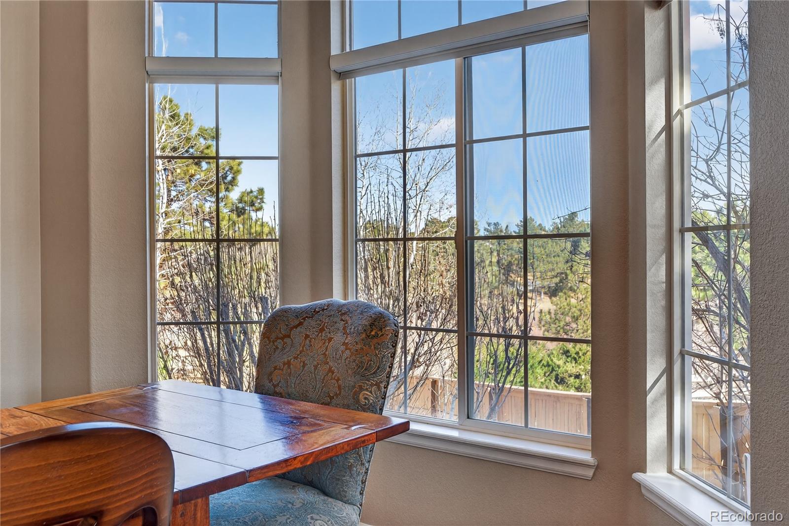 MLS Image #7 for 10155  joseph drive,highlands ranch, Colorado