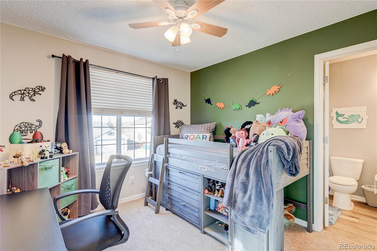 MLS Image #24 for 17138  silver mound lane,parker, Colorado