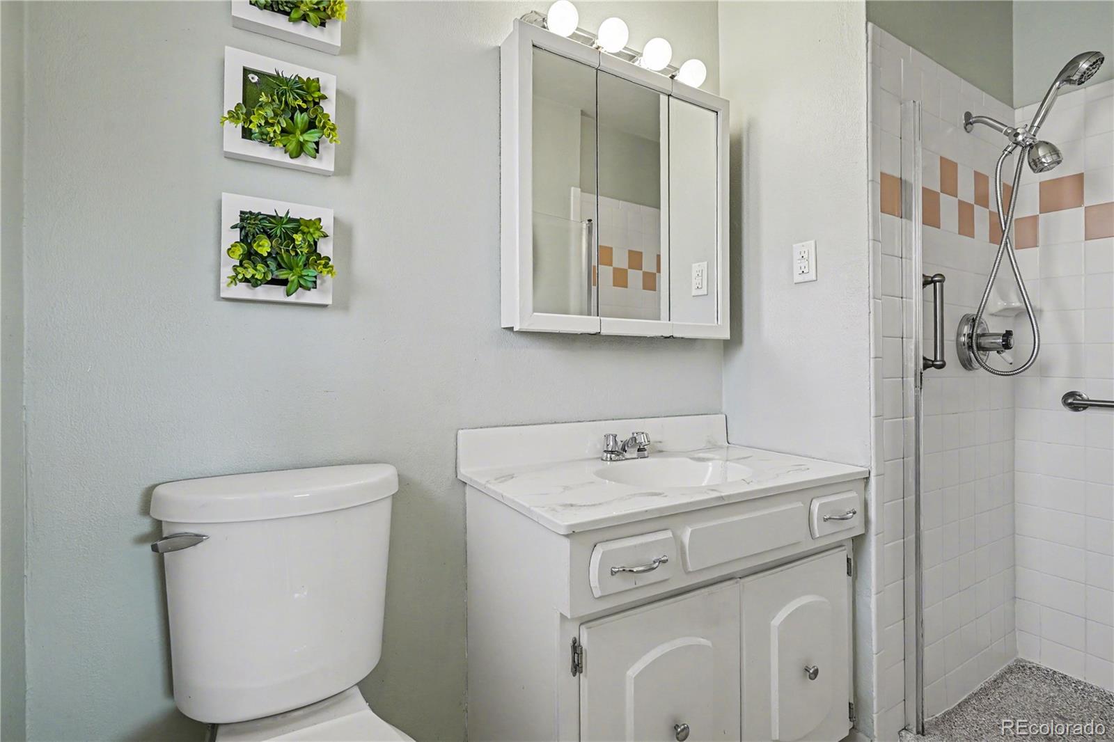 MLS Image #12 for 5937  flower street,arvada, Colorado