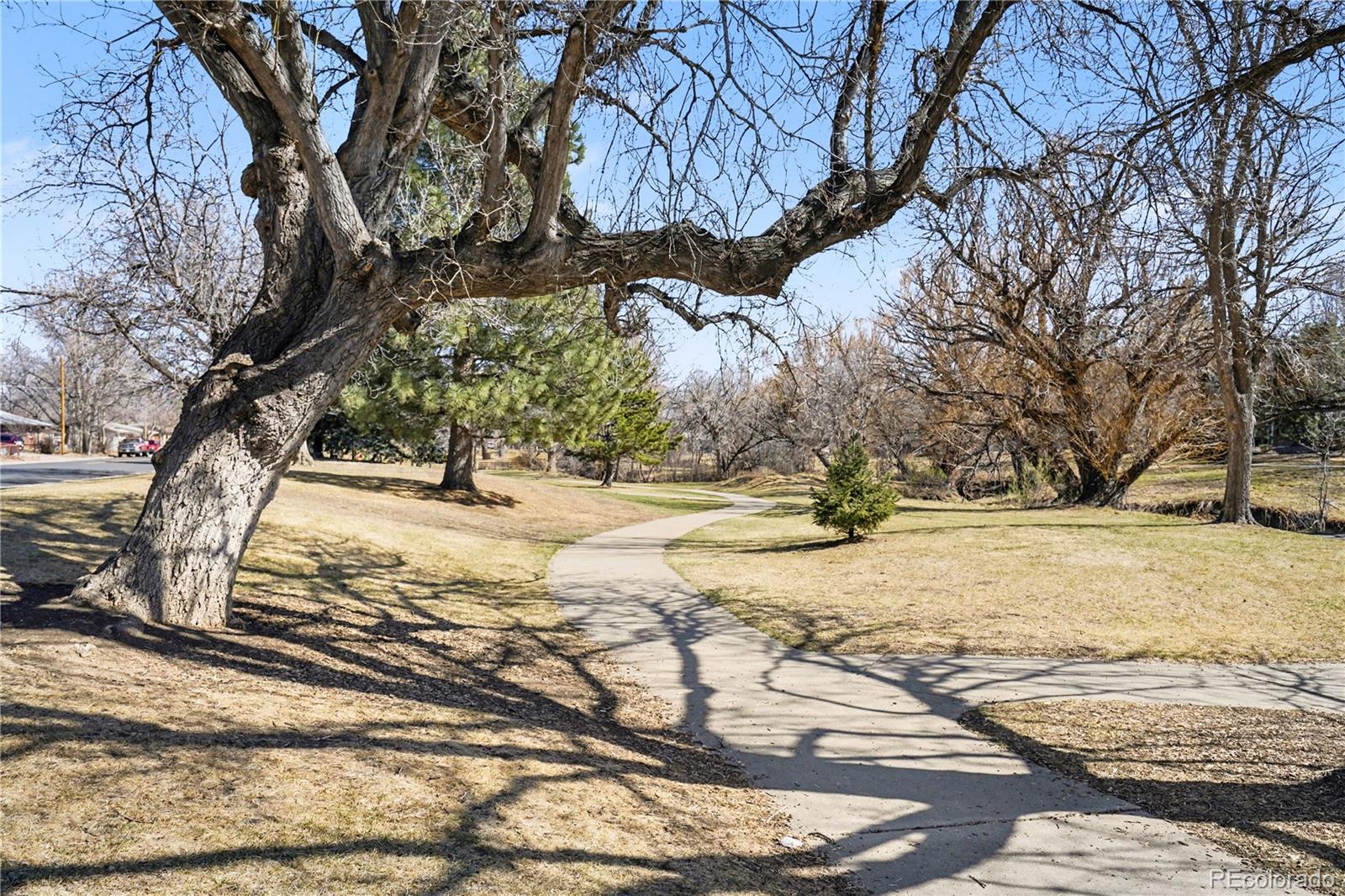 MLS Image #24 for 5937  flower street,arvada, Colorado