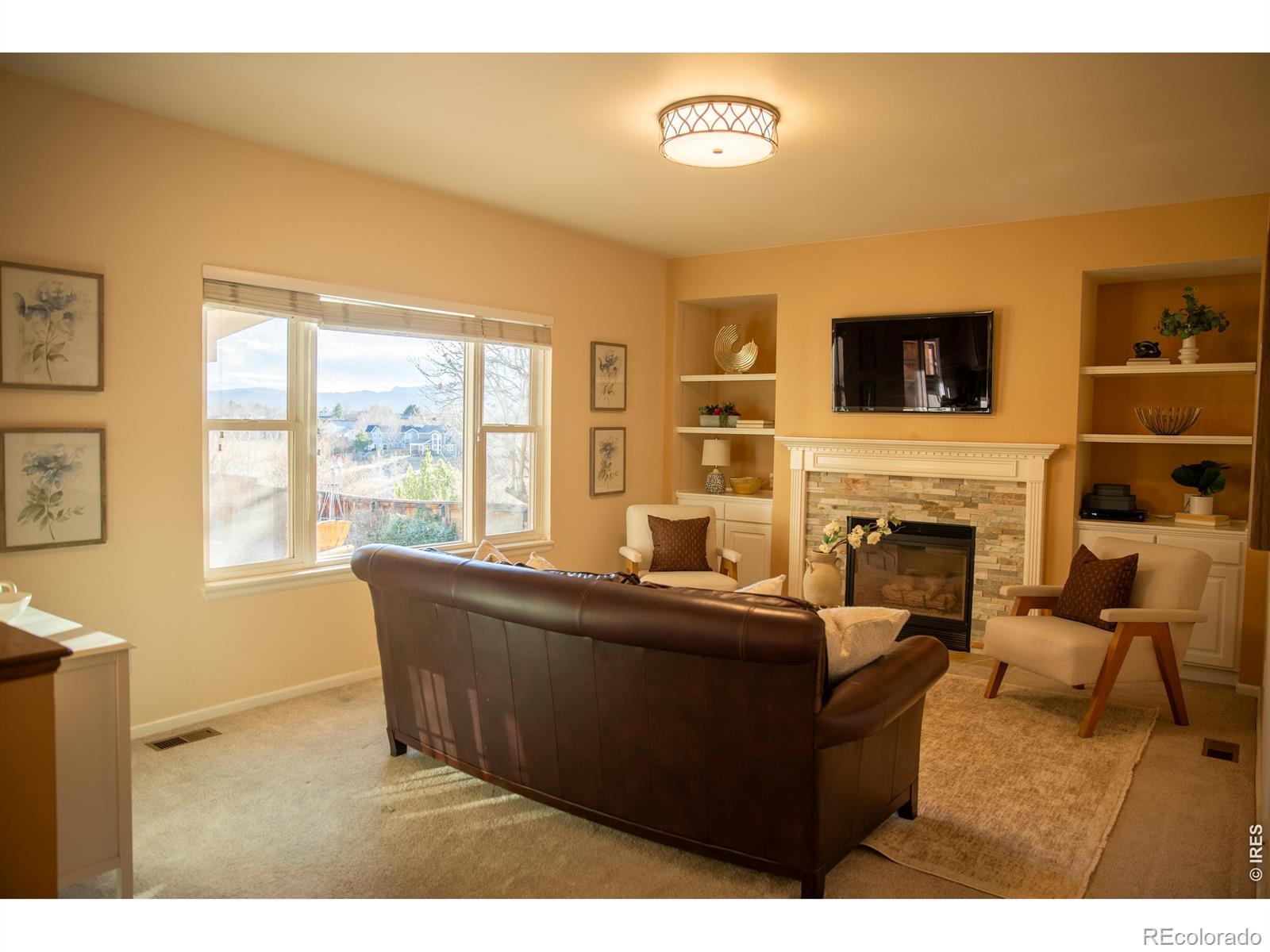 MLS Image #14 for 9695  golden eagle place,highlands ranch, Colorado
