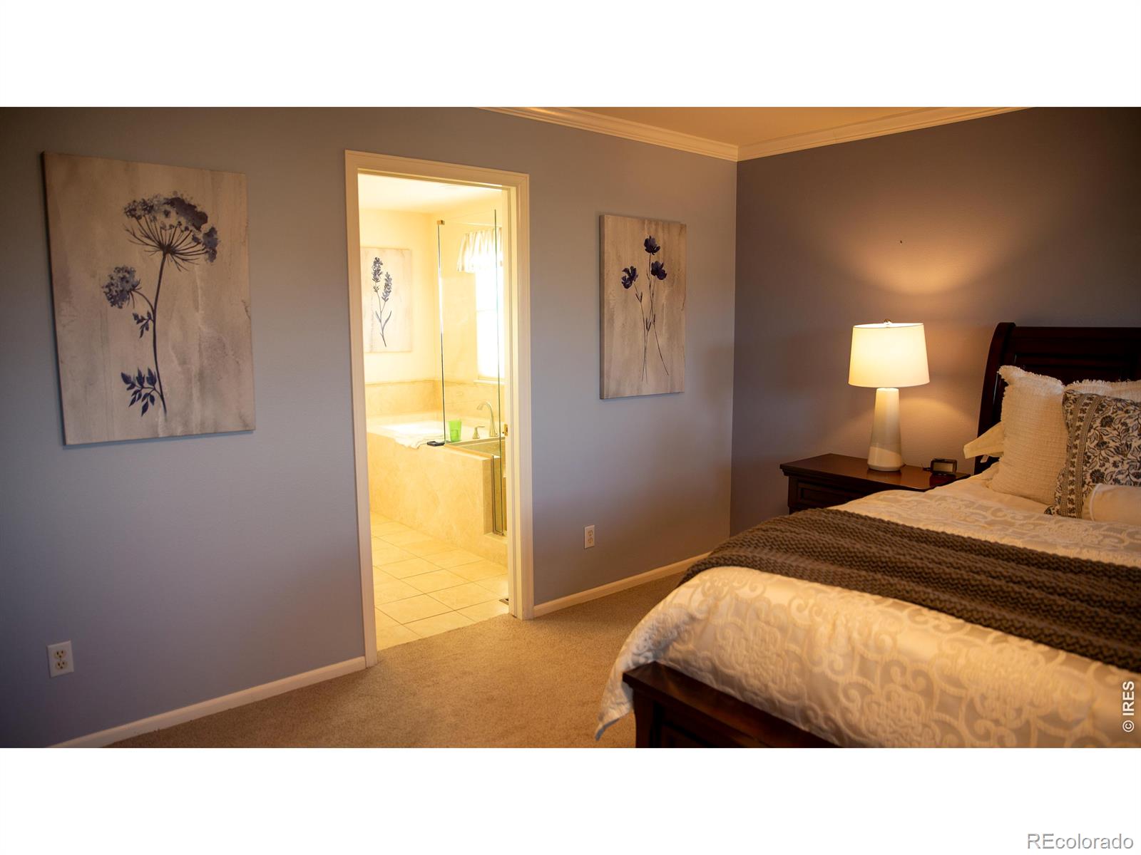 MLS Image #17 for 9695  golden eagle place,highlands ranch, Colorado