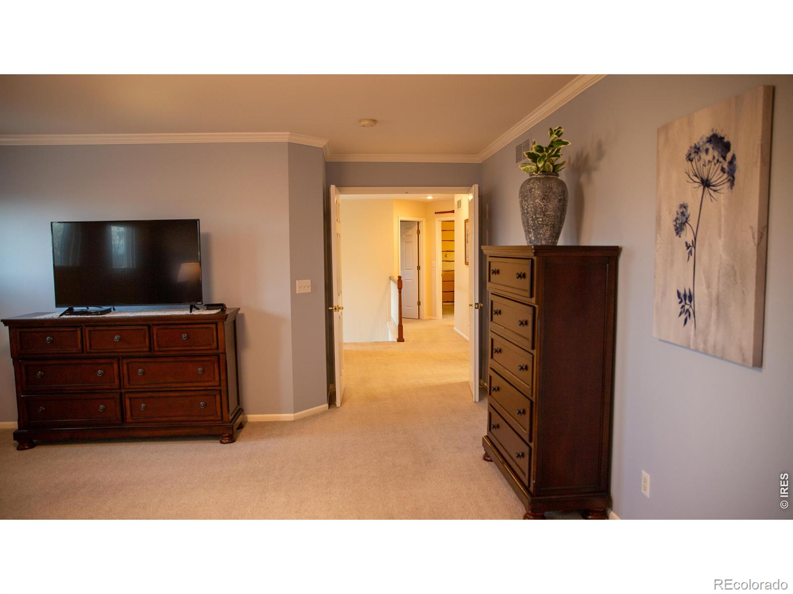 MLS Image #21 for 9695  golden eagle place,highlands ranch, Colorado