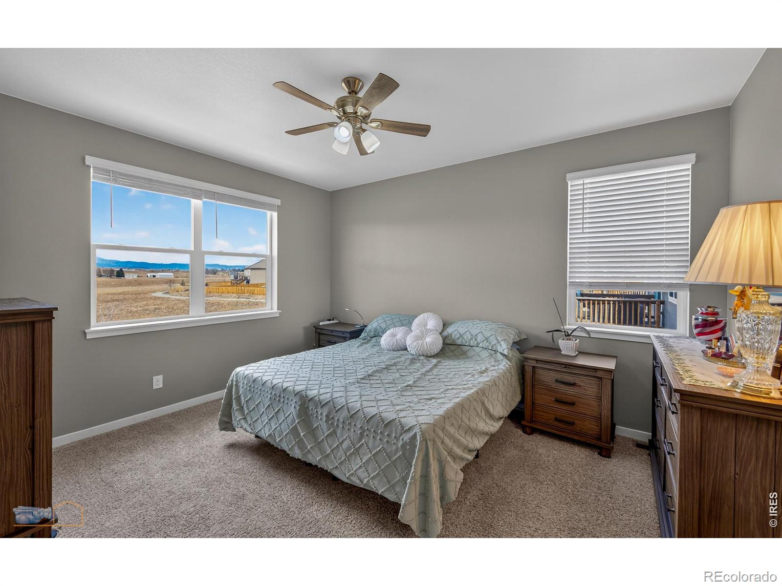 MLS Image #18 for 14571  holstein drive,mead, Colorado