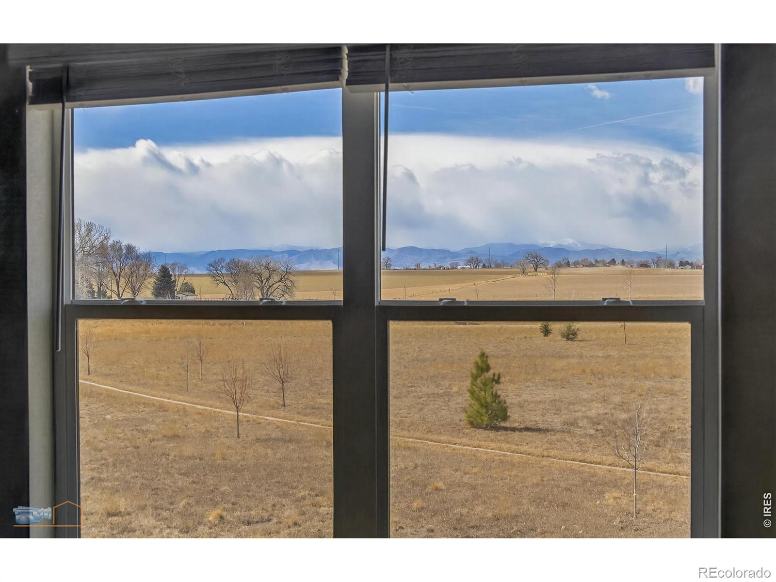MLS Image #6 for 14571  holstein drive,mead, Colorado