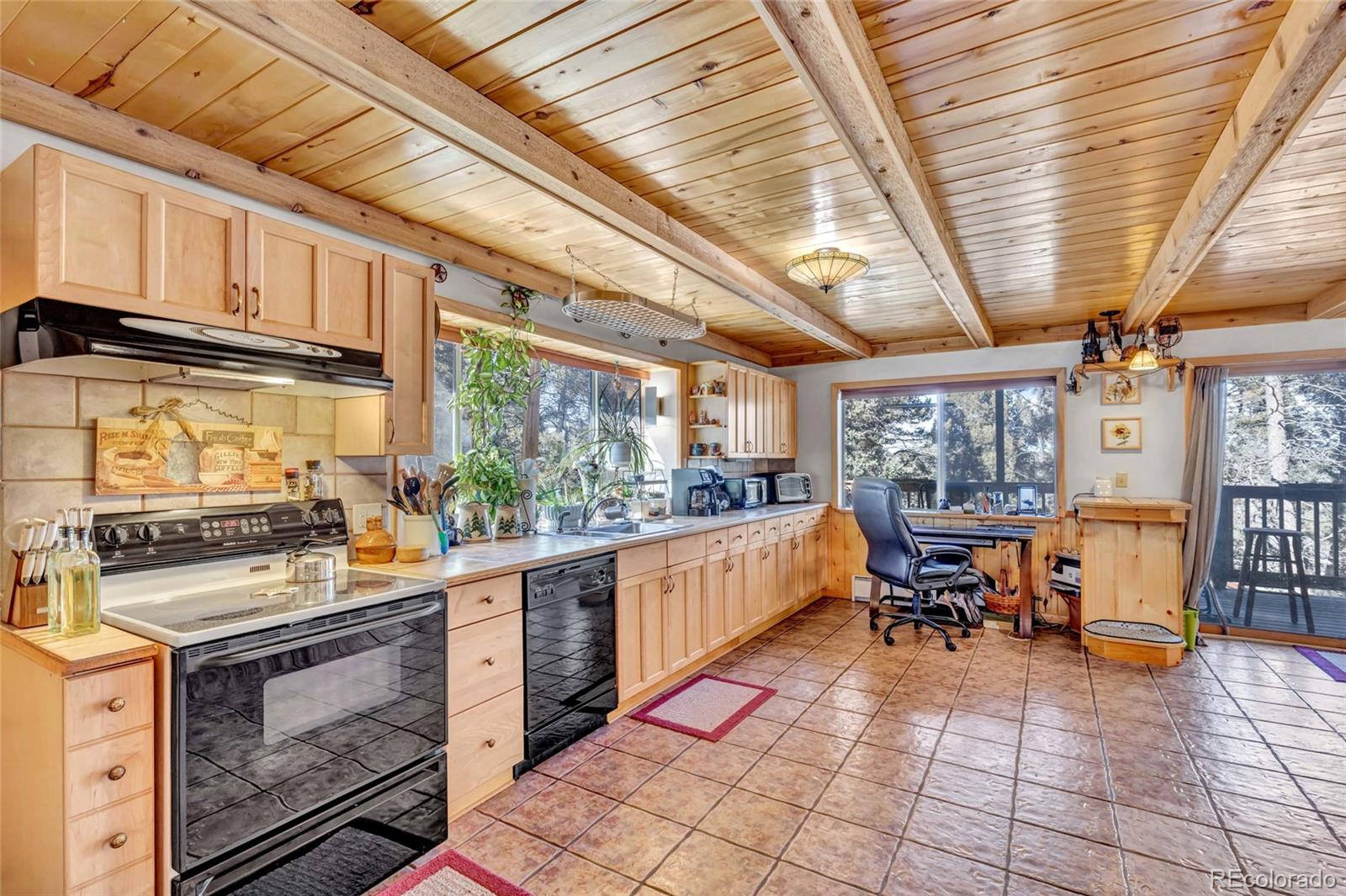 MLS Image #10 for 191  nuaku ,florissant, Colorado