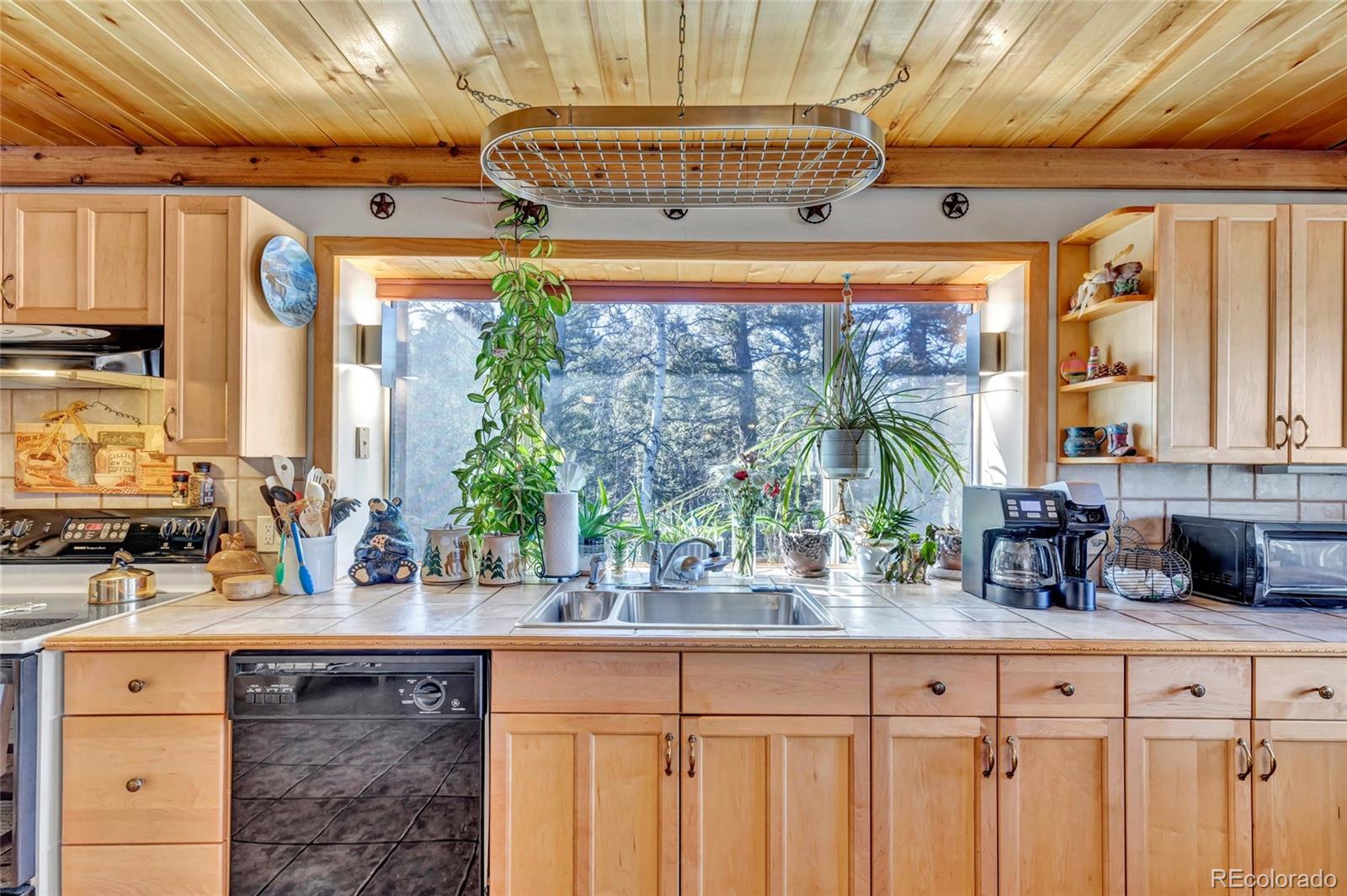 MLS Image #11 for 191  nuaku ,florissant, Colorado