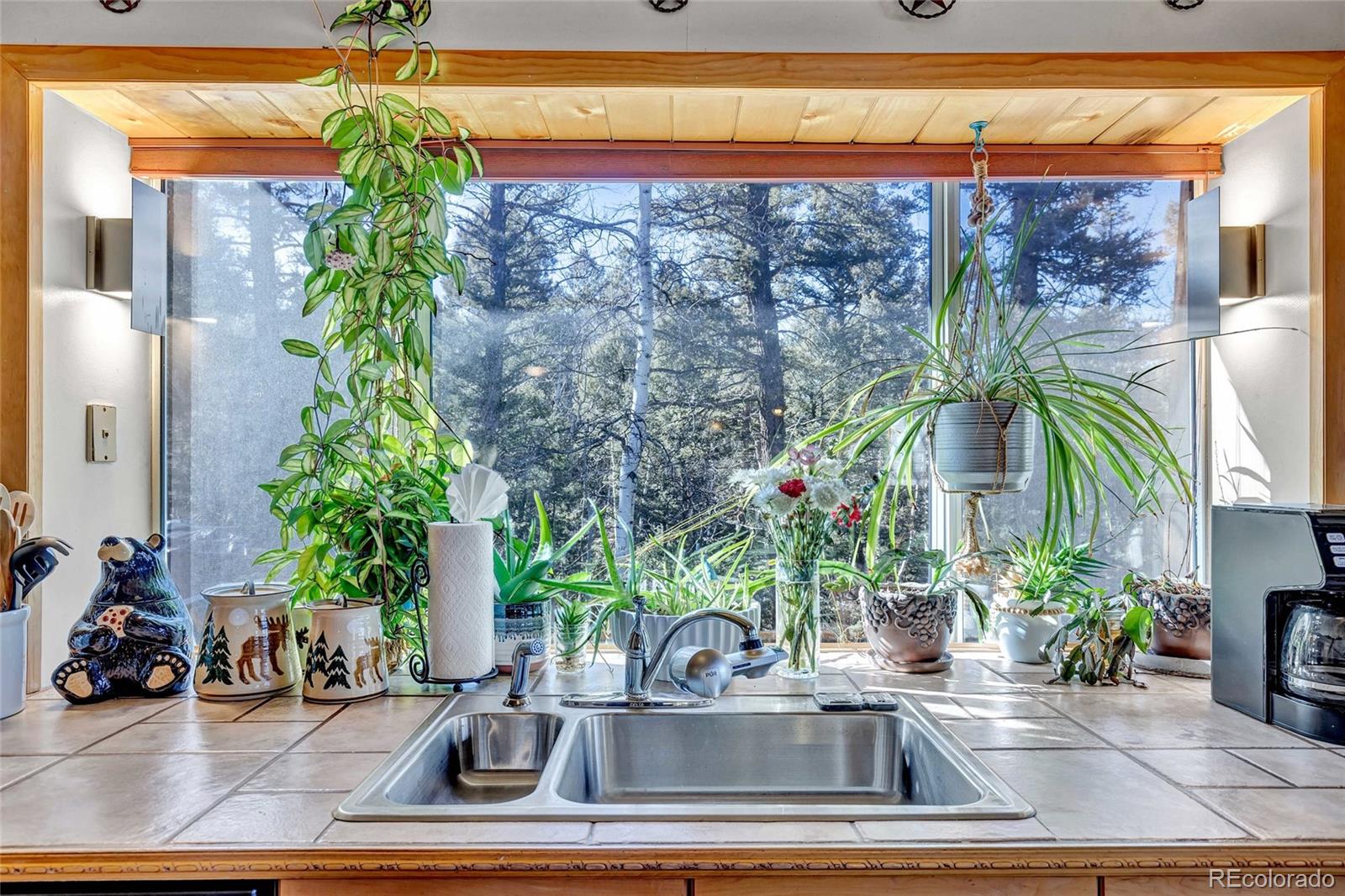 MLS Image #12 for 191  nuaku ,florissant, Colorado