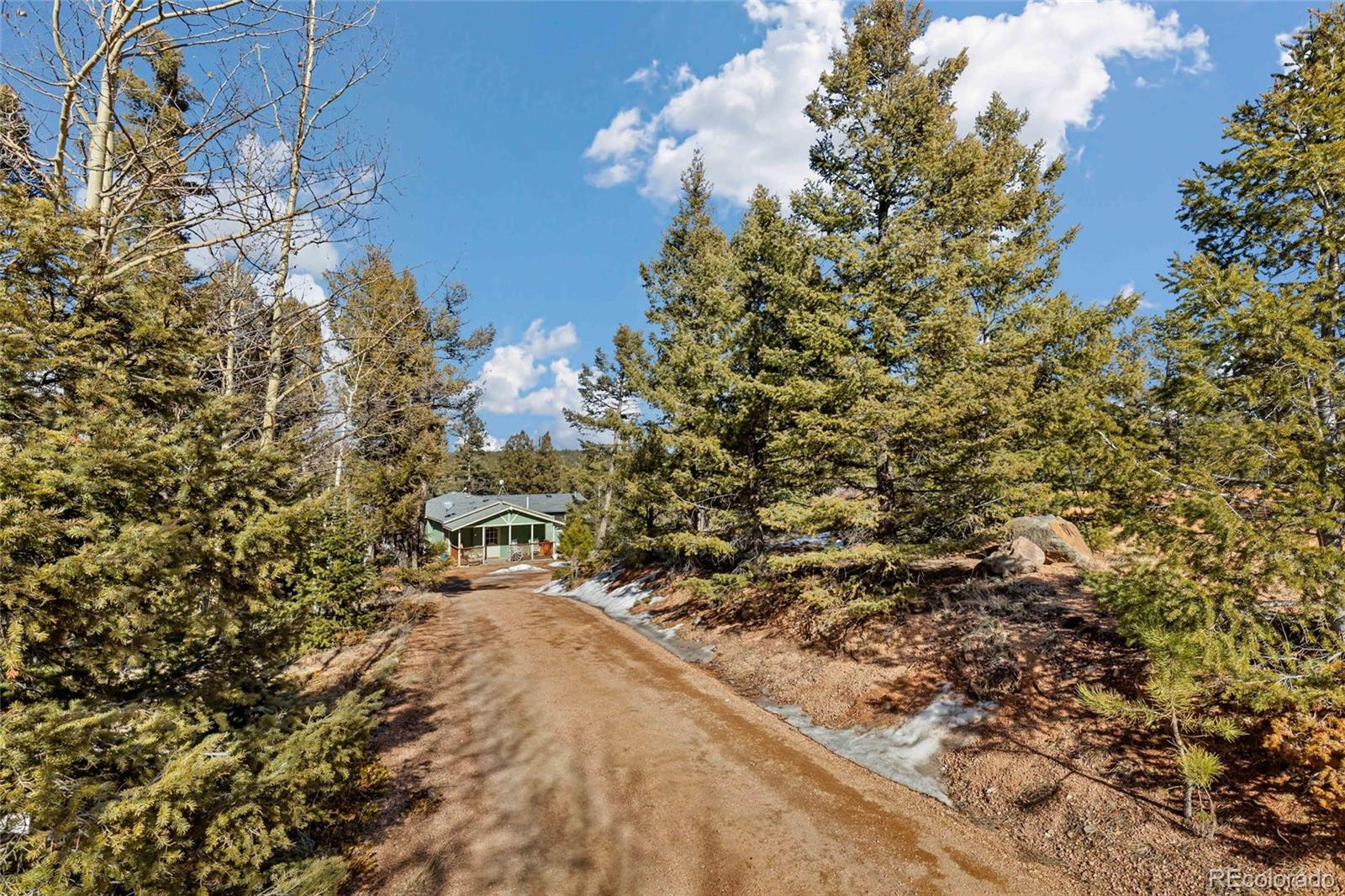 MLS Image #3 for 191  nuaku ,florissant, Colorado