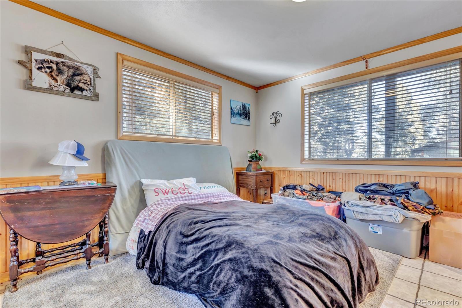 MLS Image #30 for 191  nuaku ,florissant, Colorado