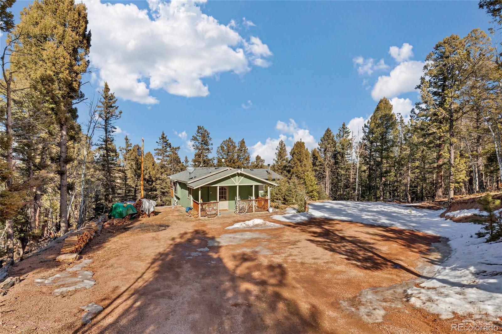 MLS Image #4 for 191  nuaku ,florissant, Colorado