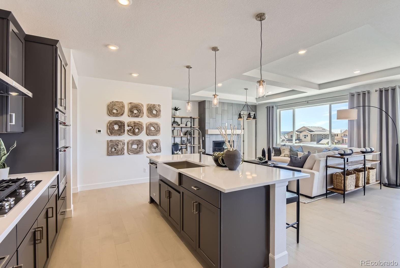 MLS Image #6 for 13792  daffodil point,parker, Colorado