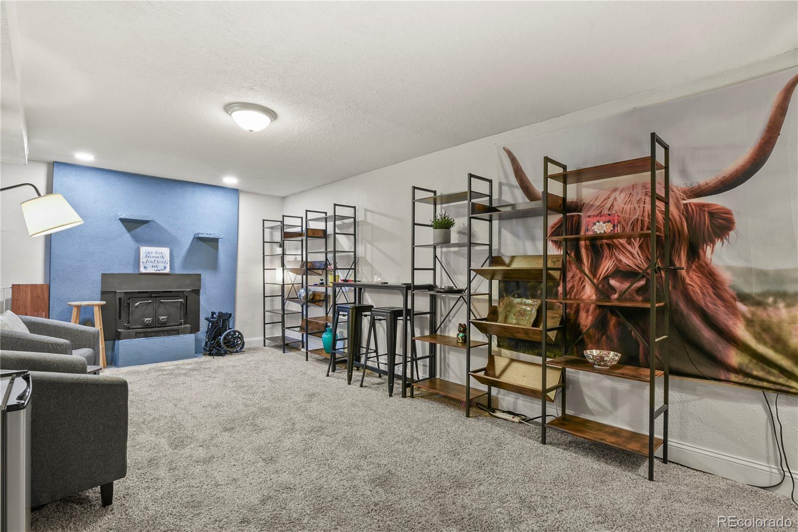 MLS Image #16 for 3607  meadowland boulevard,colorado springs, Colorado