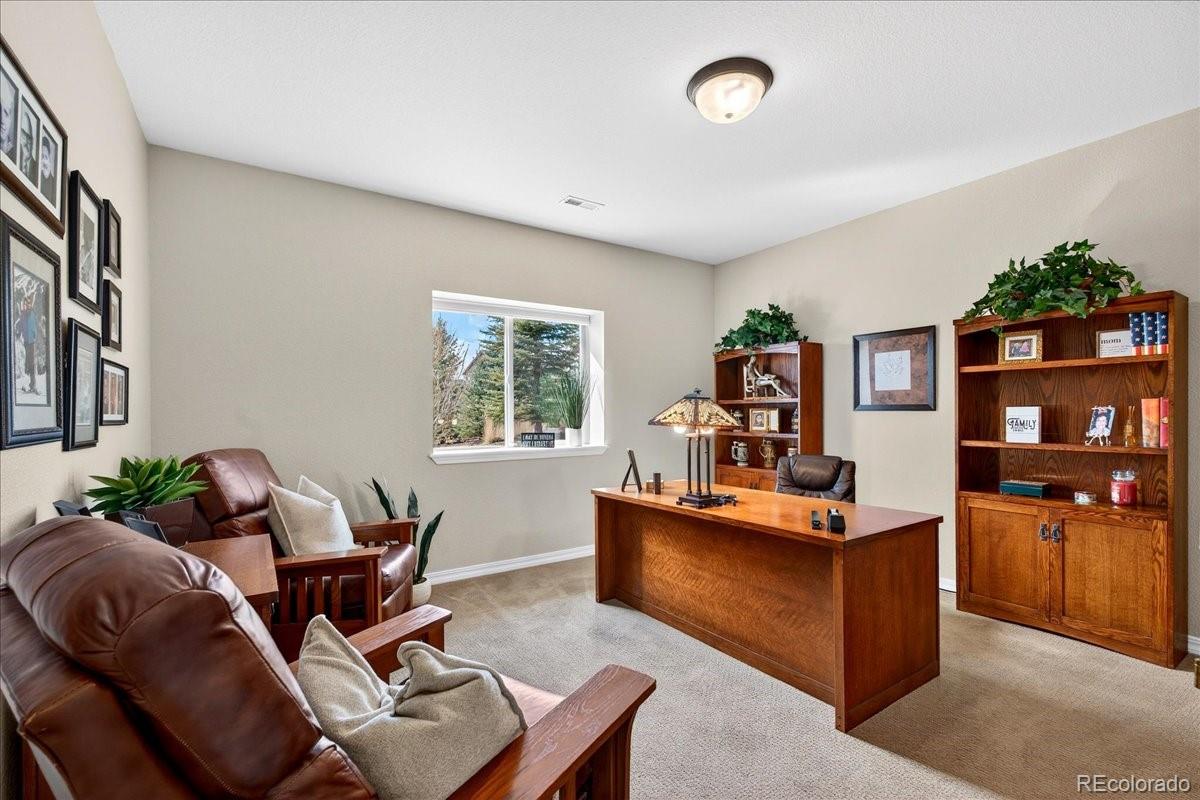 MLS Image #42 for 13274  dominus way,colorado springs, Colorado