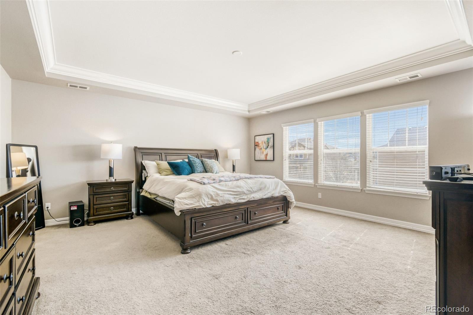 MLS Image #12 for 17205 e 109th avenue,commerce city, Colorado