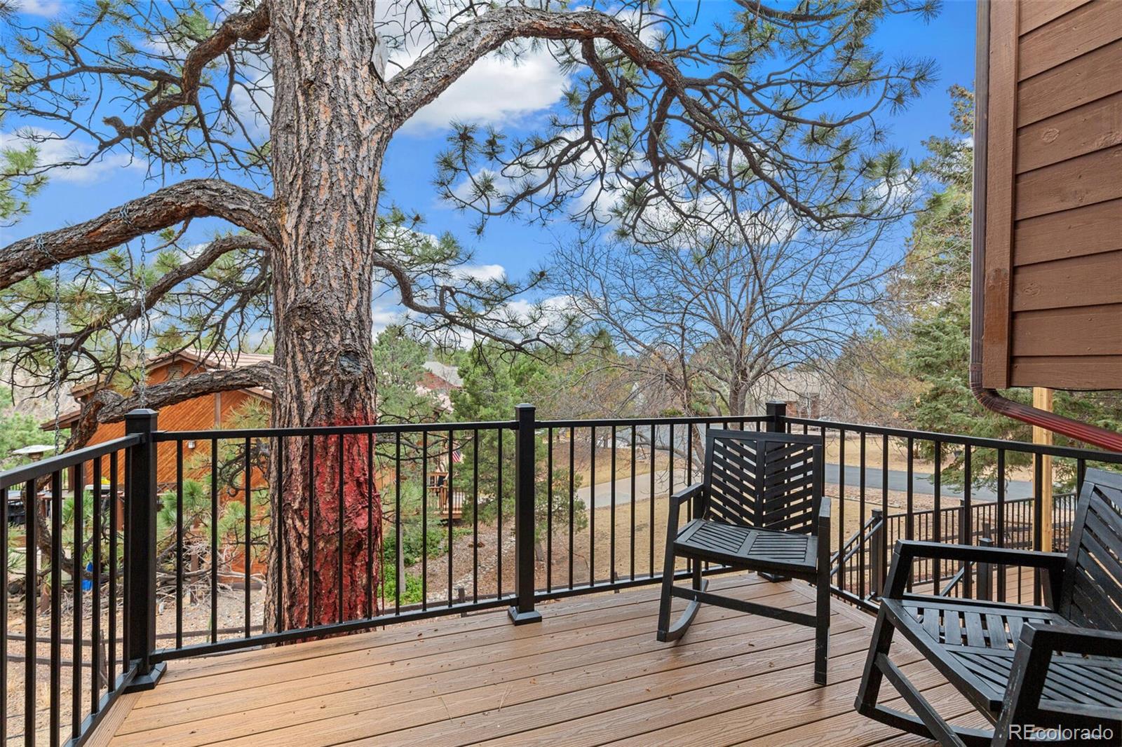 MLS Image #14 for 9598  coronado court,parker, Colorado