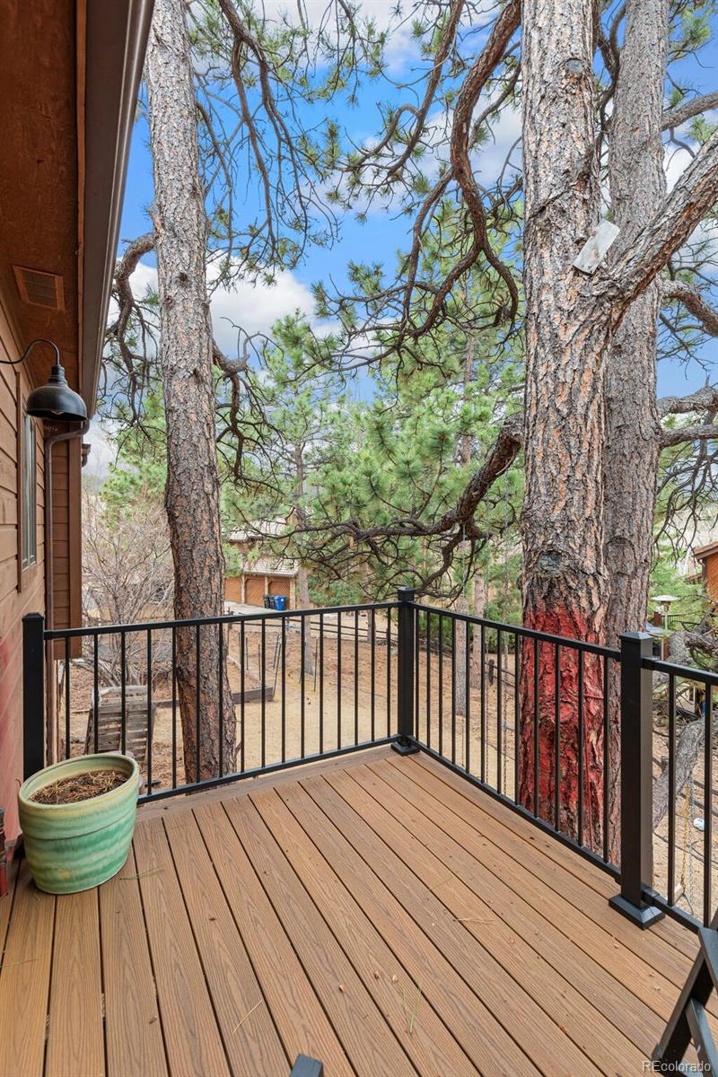 MLS Image #20 for 9598  coronado court,parker, Colorado