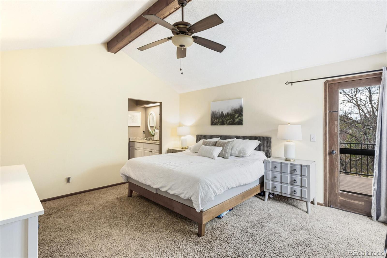 MLS Image #28 for 9598  coronado court,parker, Colorado
