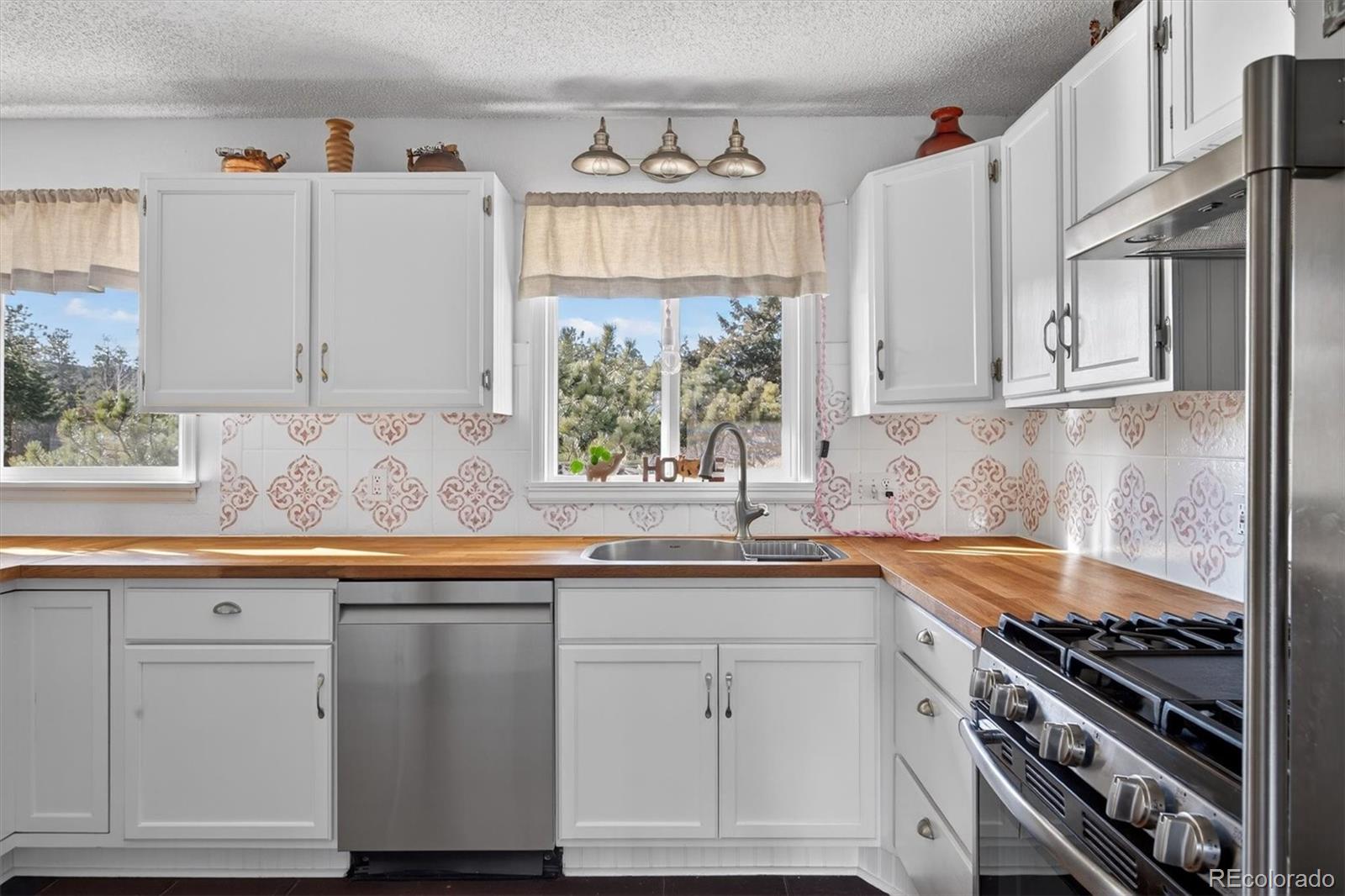 MLS Image #6 for 13347 s otoe street,pine, Colorado