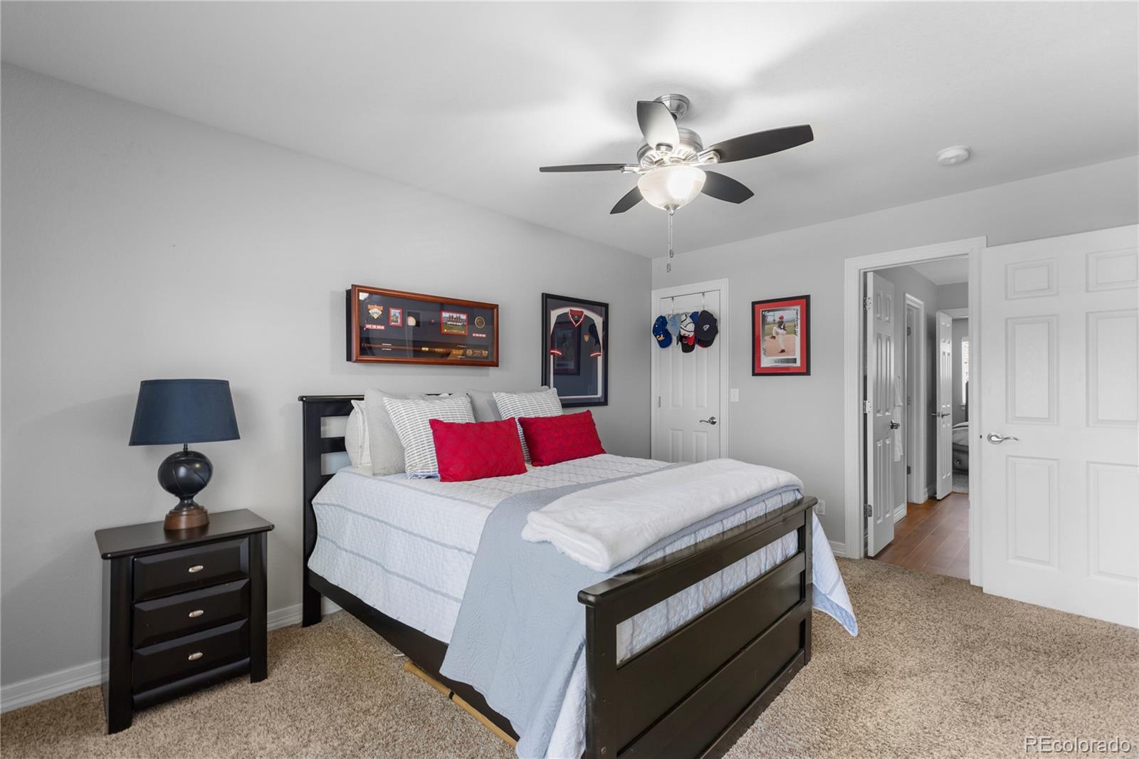 MLS Image #31 for 10148  mockingbird lane,highlands ranch, Colorado