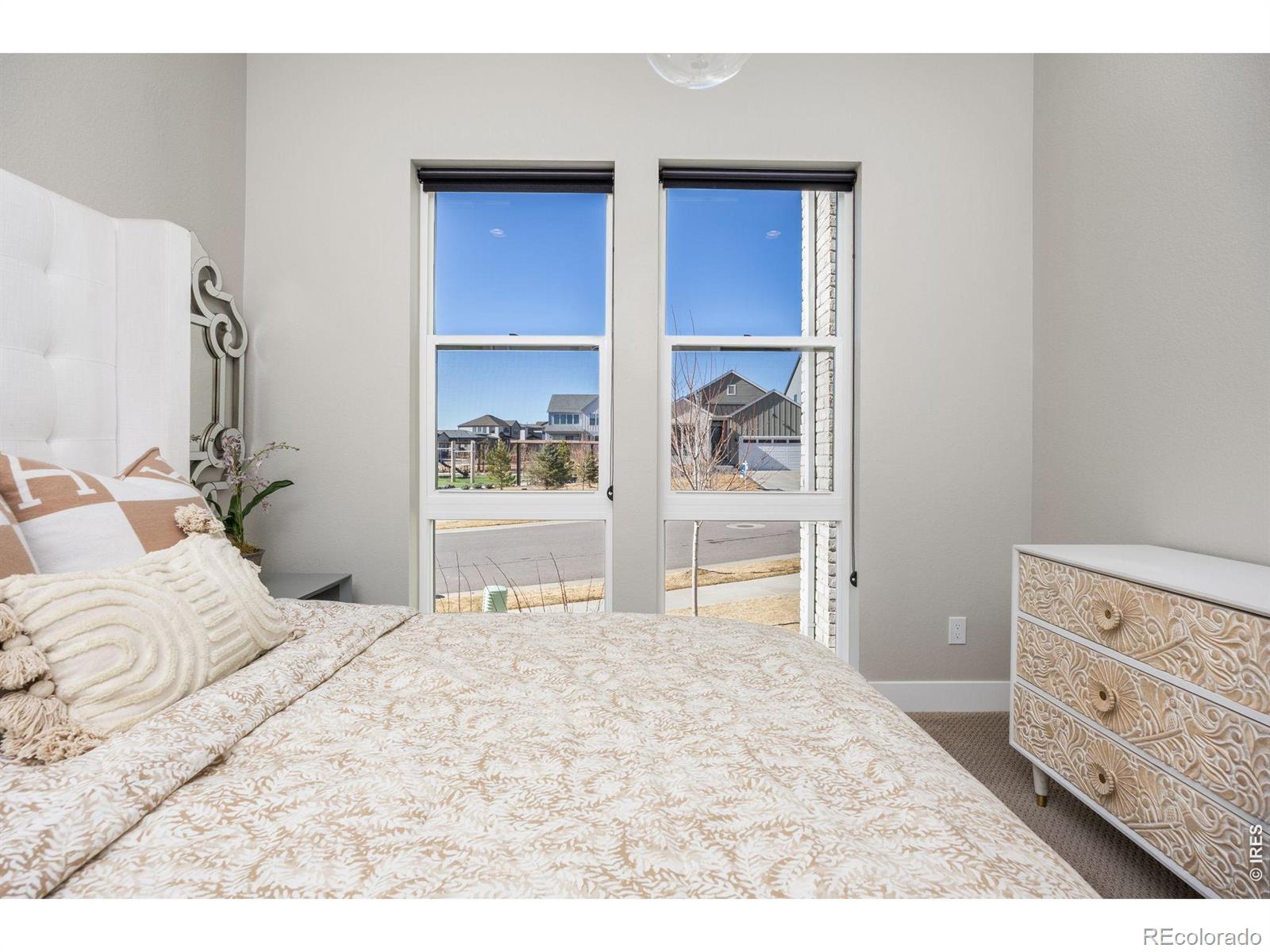 MLS Image #12 for 1875  blossom grove drive,windsor, Colorado