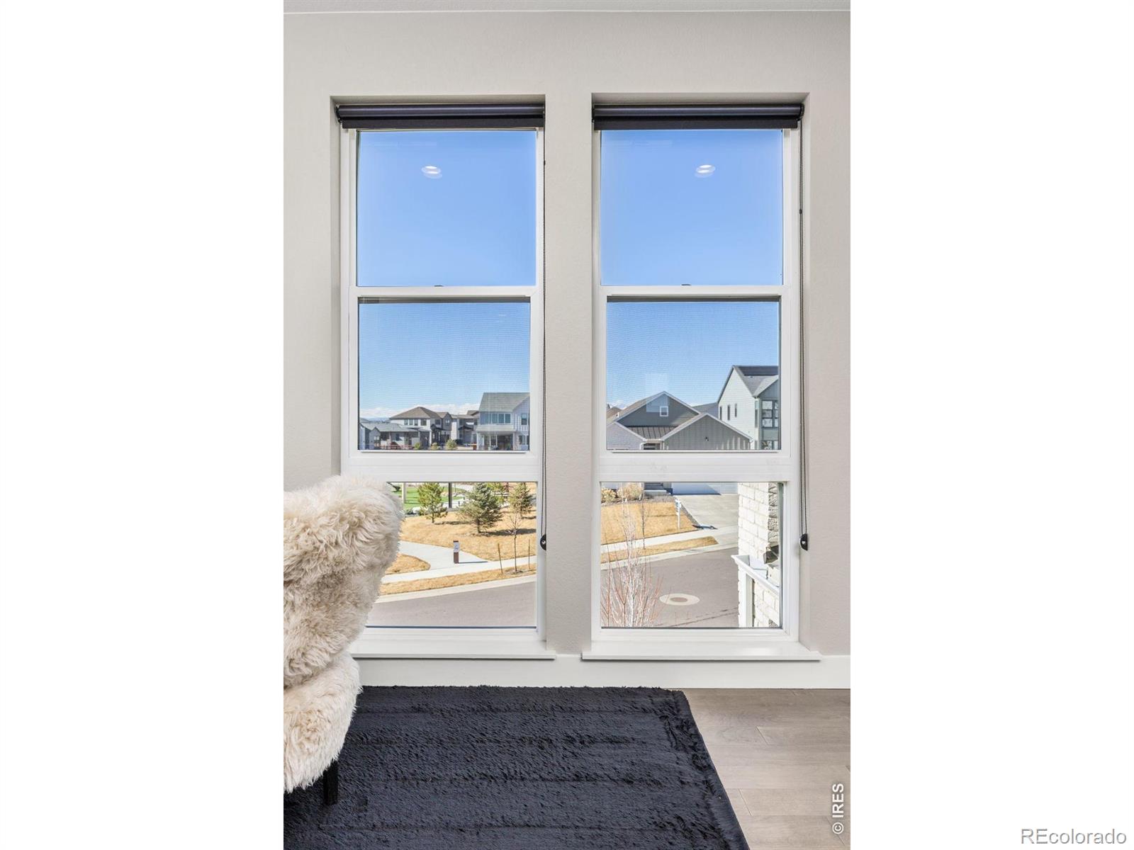MLS Image #18 for 1875  blossom grove drive,windsor, Colorado
