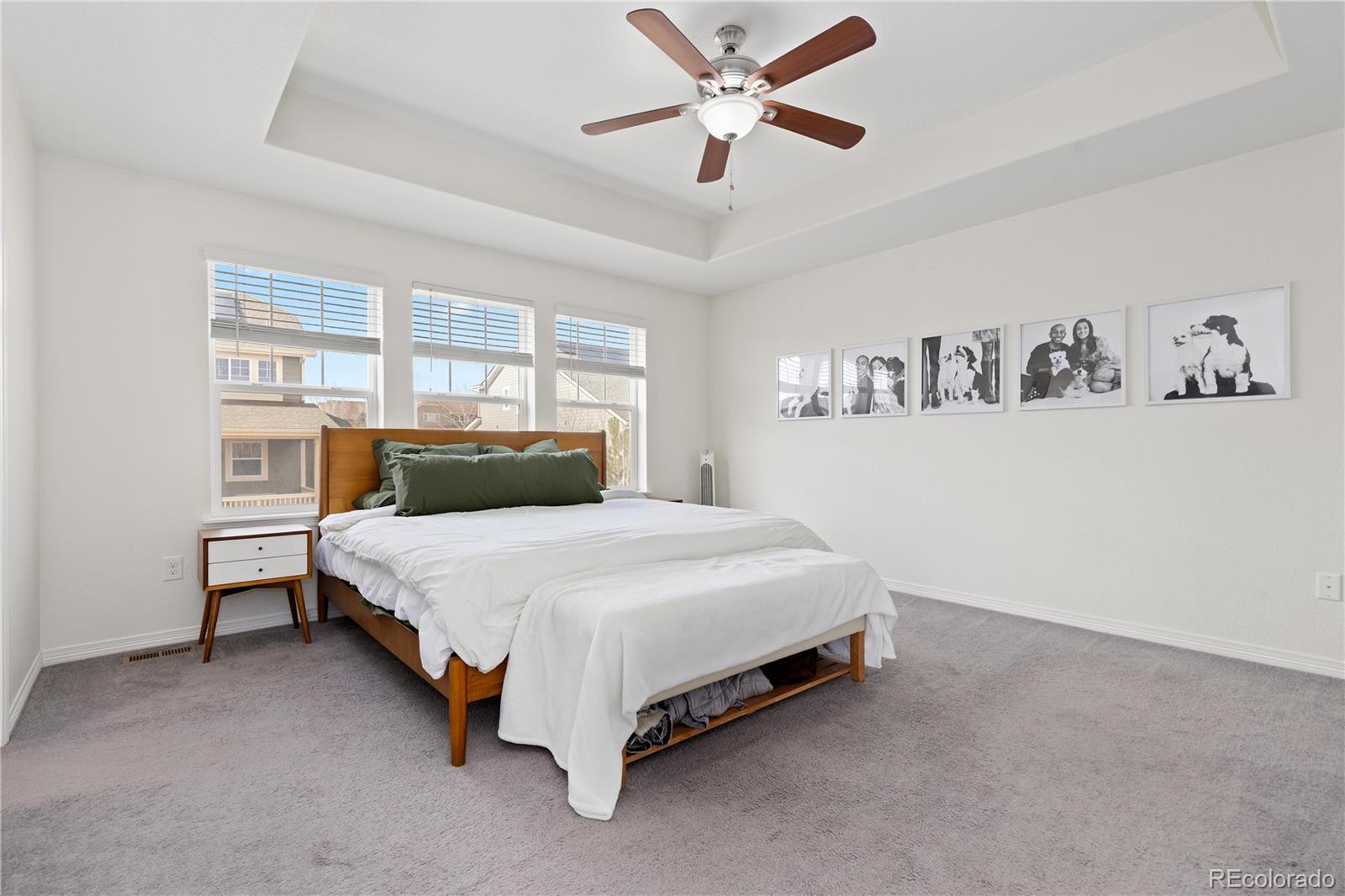 MLS Image #13 for 13455  magnolia court,thornton, Colorado