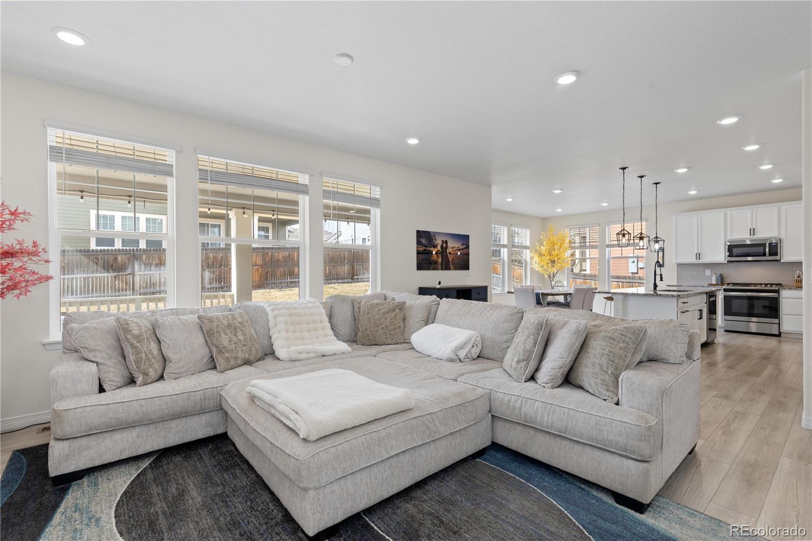 MLS Image #3 for 13455  magnolia court,thornton, Colorado