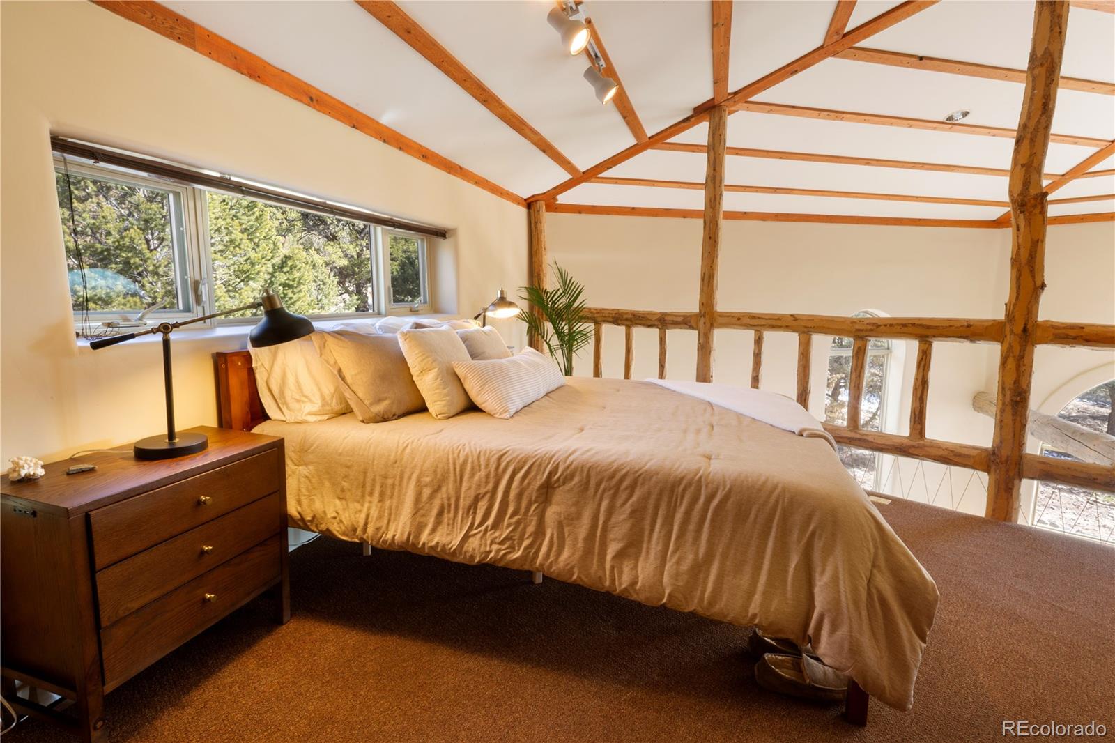 MLS Image #22 for 1720  willow creek way,crestone, Colorado
